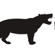 Simbakubwa kutokaafrika, an extinct carnivorous mammal with a skull as large as that of a rhinoceros and enormous piercing canine teeth, is seen in this artist's illustration in a size comparison with a human released in Athens, Ohio, U.S., on April 18, 2019.